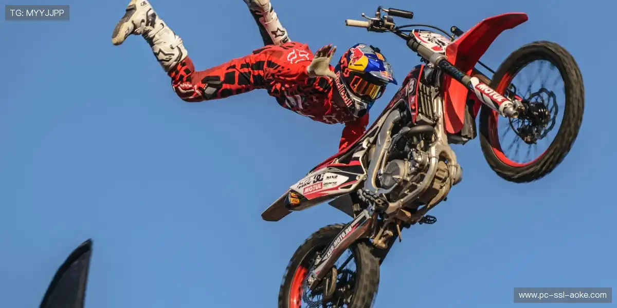 🏆 决赛巅峰夜荣耀之战，每一秒都价值连城，史诗感爆棚！💎